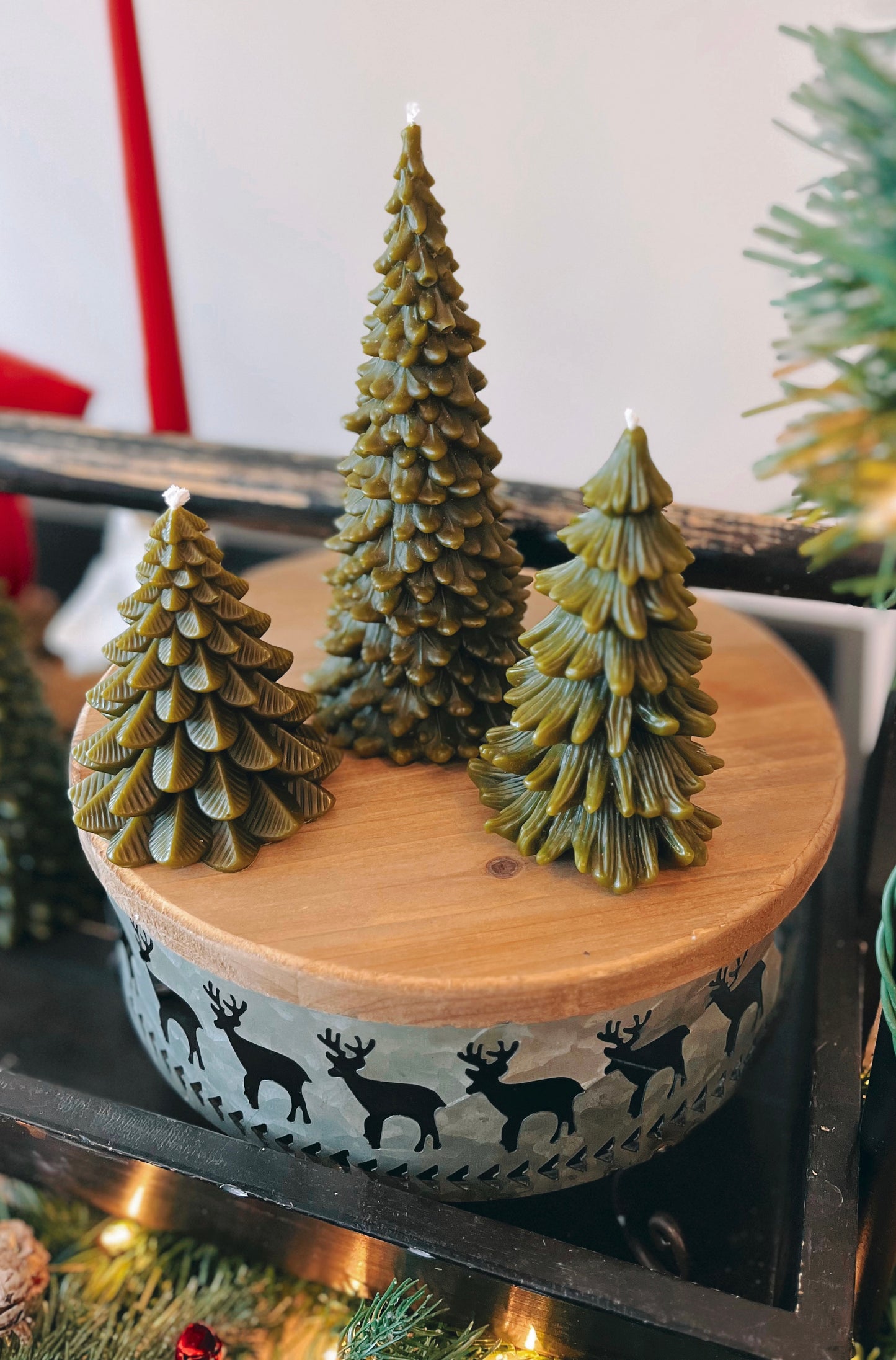 Pine Trees ~Limited Edition~